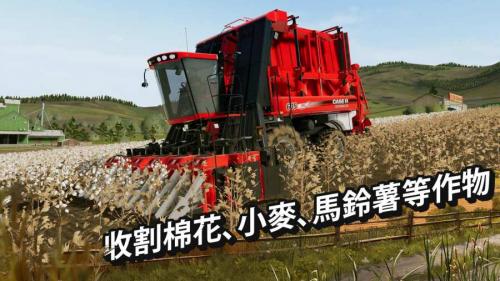 模拟农场20中国卡车